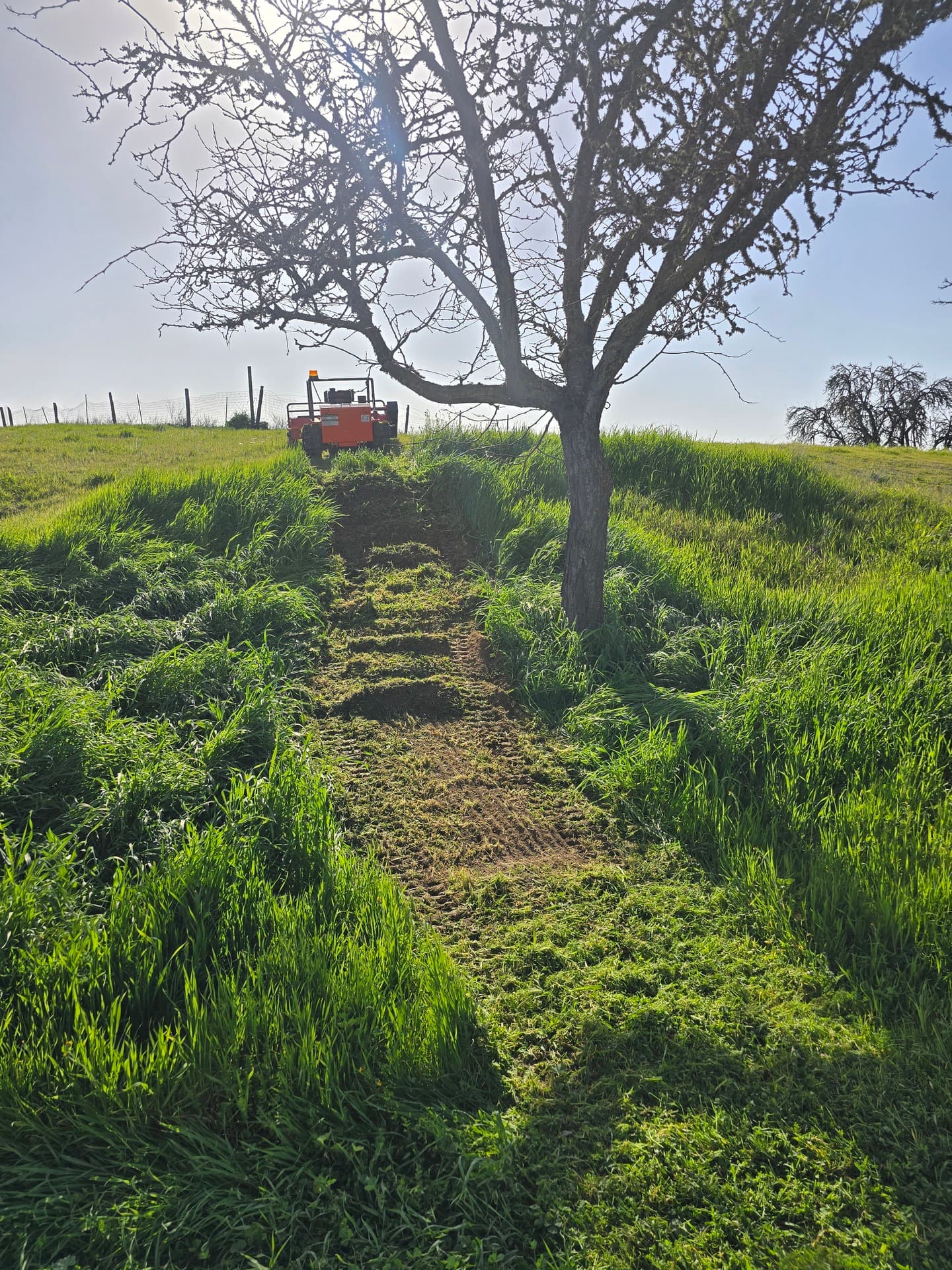 VW Cornerstone Landscaping serving San Luis Obispo County